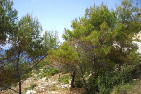 Land in Zakynthos, Greece No. 28079 6