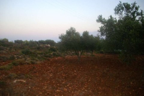 Land in Zakynthos, Greece No. 28079 7