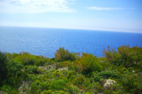 Land in Zakynthos, Greece No. 28079 1