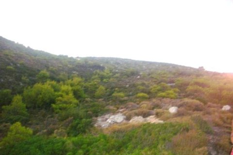 Land in Zakynthos, Greece No. 28079 8