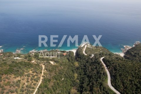 13 bedrooms Hotel in Magnesia, Greece No. 28007 16