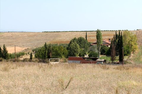 10000m² Land in Chalkidiki, Greece No. 60577 1