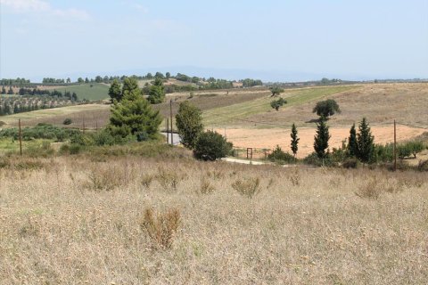 10000m² Land in Chalkidiki, Greece No. 60577 5