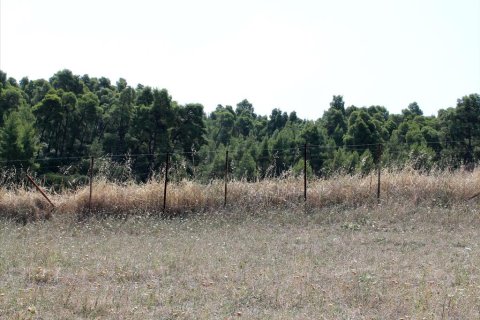 10000m² Land in Chalkidiki, Greece No. 60577 8