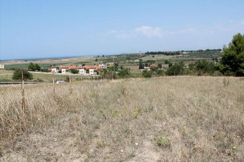 10000m² Land in Chalkidiki, Greece No. 60577 2