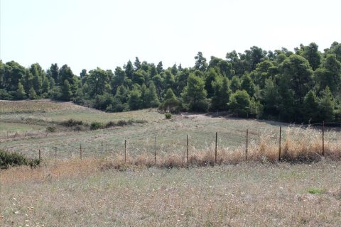 10000m² Land en Chalkidiki, Greece No. 60577 6