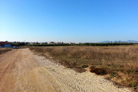 16600m² Land in Chalkidiki, Greece No. 60573 4