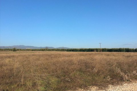 16600m² Land en Chalkidiki, Greece No. 60573 3