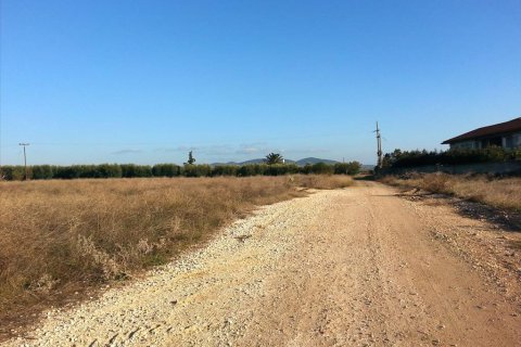 16600m² Land in Chalkidiki, Greece No. 60573 2