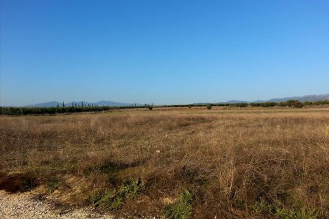 16600m² Land en Chalkidiki, Greece No. 60573 1