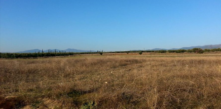 16600m² Land in Chalkidiki, Greece No. 60573