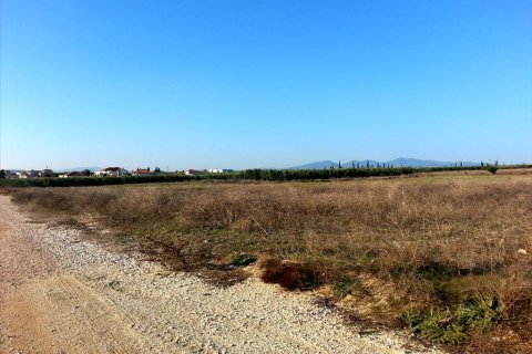 16600m² Land en Chalkidiki, Greece No. 60573 5