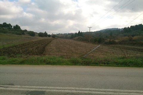 12150m² Land à Chalkidiki, Greece No. 60571 2