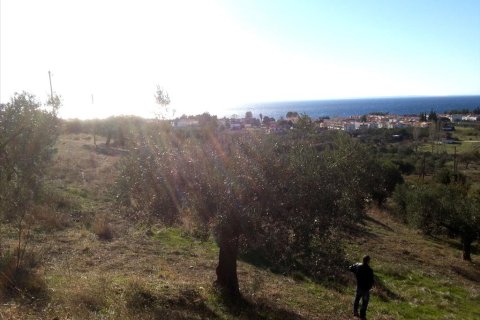 5000m² Land in Chalkidiki, Greece No. 60575 6