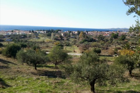 5000m² Land in Chalkidiki, Greece No. 60575 1