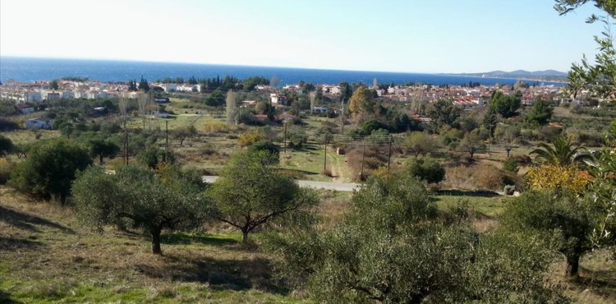 5000m² Land en Chalkidiki, Greece No. 60575