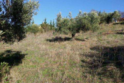 5000m² Land en Chalkidiki, Greece No. 60575 5