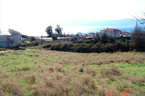 7000m² Land en Thessaloniki, Greece No. 60576 8