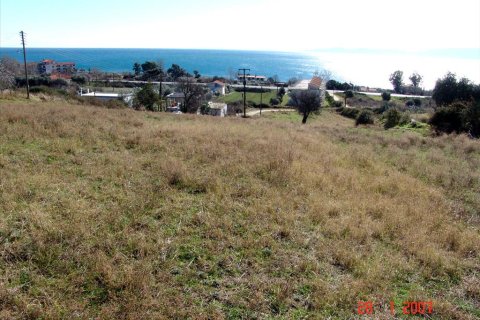 7000m² Land in Thessaloniki, Greece No. 60576 12