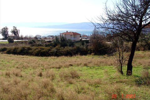 7000m² Land en Thessaloniki, Greece No. 60576 10