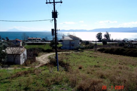 7000m² Land à Thessaloniki, Greece No. 60576 7