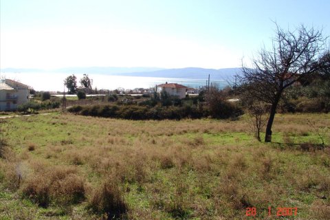 7000m² Land à Thessaloniki, Greece No. 60576 5