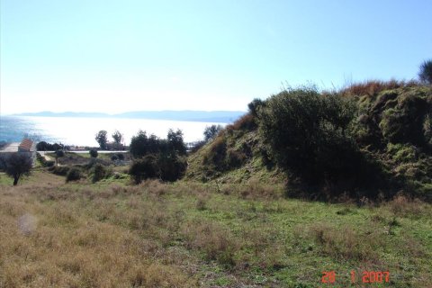 7000m² Land in Thessaloniki, Greece No. 60576 6