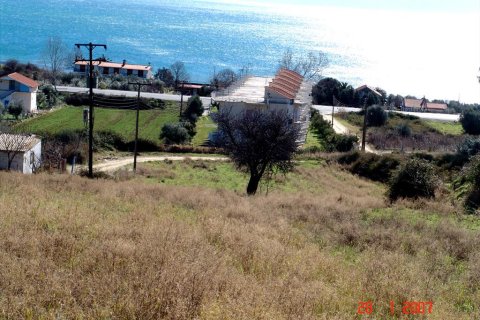 7000m² Land in Thessaloniki, Greece No. 60576 11