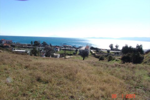 7000m² Land in Thessaloniki, Greece No. 60576 3