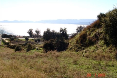 7000m² Land en Thessaloniki, Greece No. 60576 4