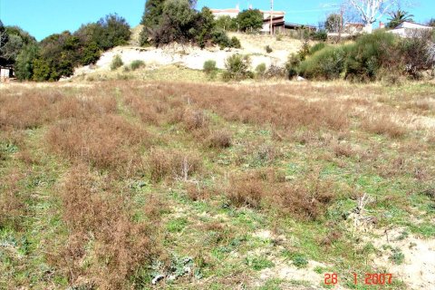 7000m² Land in Thessaloniki, Greece No. 60576 9