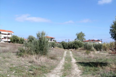 3503m² Land in Chalkidiki, Greece No. 60574 14