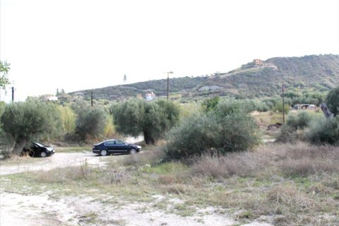 3503m² Land à Chalkidiki, Greece No. 60574 5