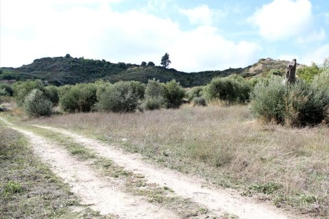 3503m² Land à Chalkidiki, Greece No. 60574 8