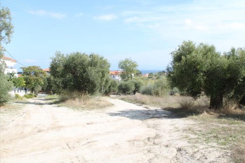 3503m² Land à Chalkidiki, Greece No. 60574 7