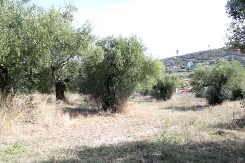 3503m² Land in Chalkidiki, Greece No. 60574 6