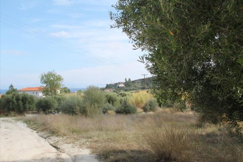 3503m² Land à Chalkidiki, Greece No. 60574 10