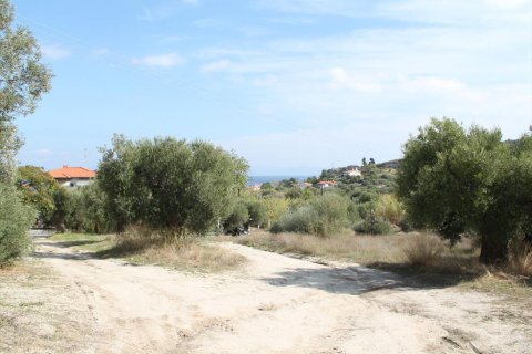 3503m² Land in Chalkidiki, Greece No. 60574 12