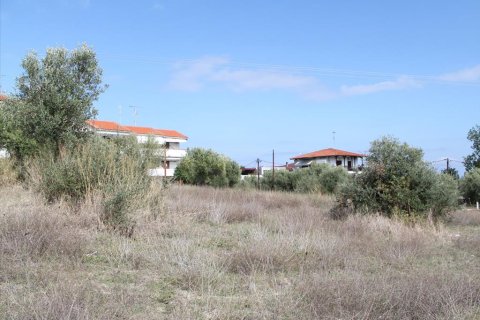 3503m² Land à Chalkidiki, Greece No. 60574 1