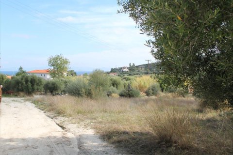 3503m² Land in Chalkidiki, Greece No. 60574 11