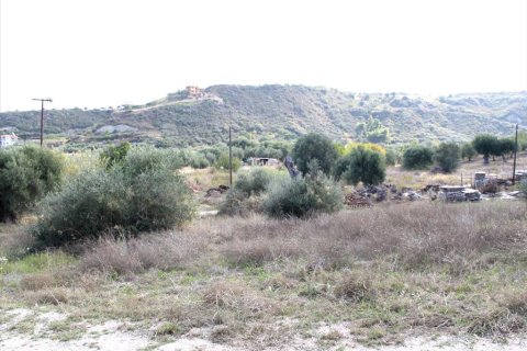 3503m² Land à Chalkidiki, Greece No. 60574 9