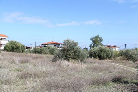 3503m² Land à Chalkidiki, Greece No. 60574 13