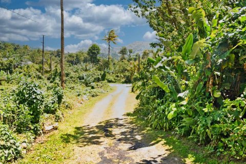 4 dormitorios House en Saint Joseph, Dominica No. 66264 19