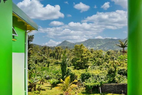 4 chambres House à Saint Joseph, Dominica No. 66264 8