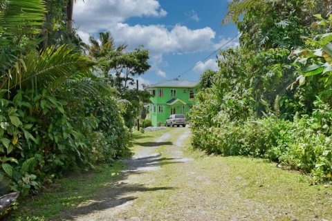 4 chambres House à Saint Joseph, Dominica No. 66264 22