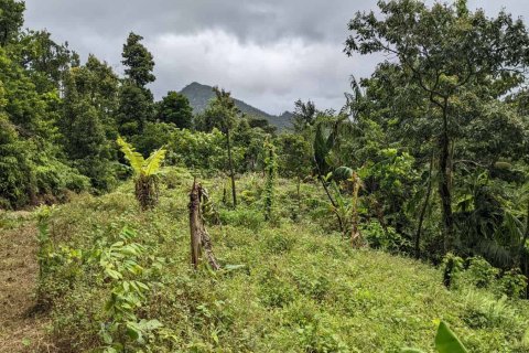 25657m² Land à Pont Casse, Dominica No. 66265 27