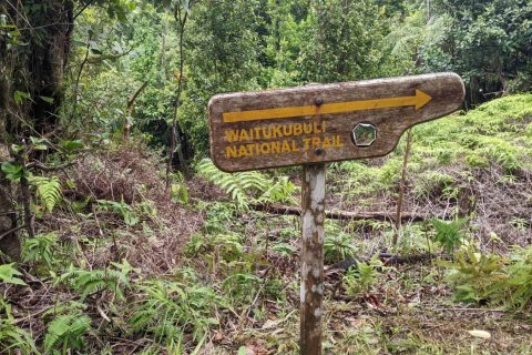 25657m² Land à Pont Casse, Dominica No. 66265 17