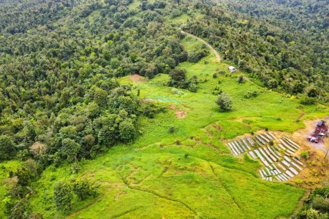 25657m² Land en Pont Casse, Dominica No. 66265 1