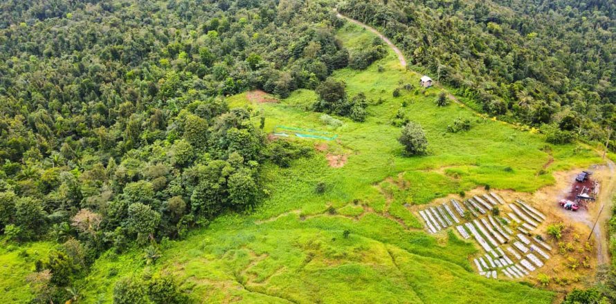 25657m² Land à Pont Casse, Dominica No. 66265