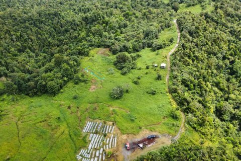 25657m² Land en Pont Casse, Dominica No. 66265 13